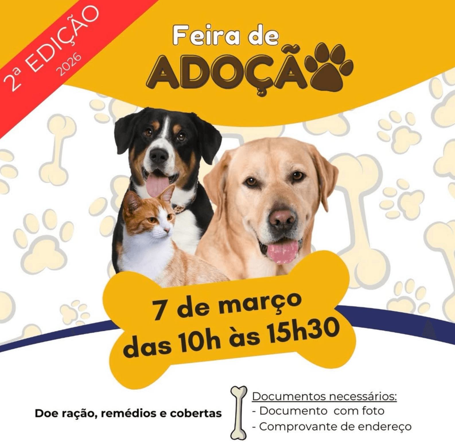 Vem aí a 2ª Edição da Feira de Adoção da OAB Santo André